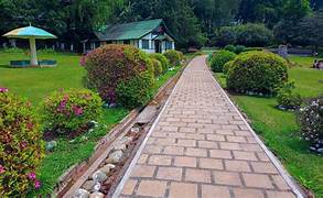 Shillong Honeymoon Tour